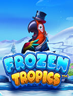 ว ธ ใช งานโปรแกรมแทงบอลออนไลน ufabet สุดง่ายสำหรับนักเดิมพันทุกคน